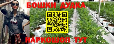 прущие крисы Комсомольск-на-Амуре