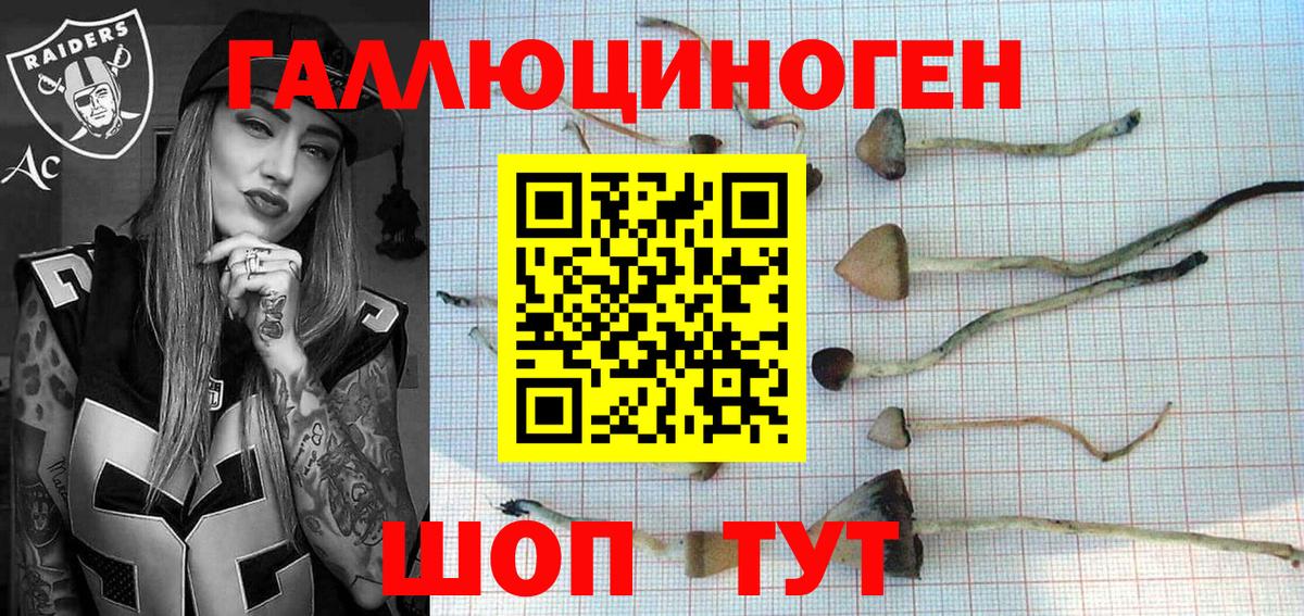 Псилоцибиновые грибы MAGIC MUSHROOMS Котлас