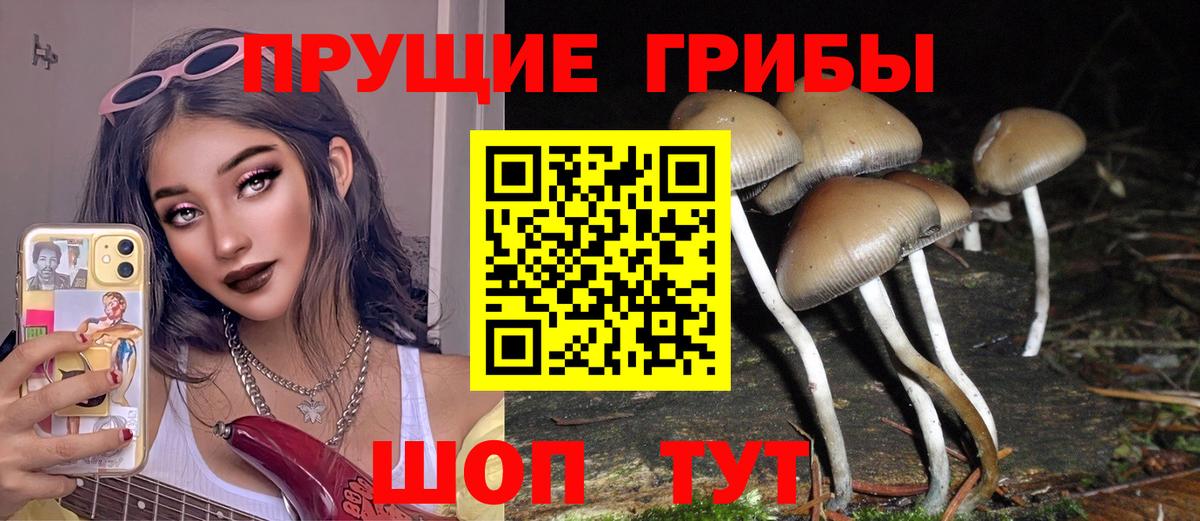 Галлюциногенные грибы MAGIC MUSHROOMS  Псилоцибиновые грибы GOLDEN TEACHER  Вход с VPN  Котлас 