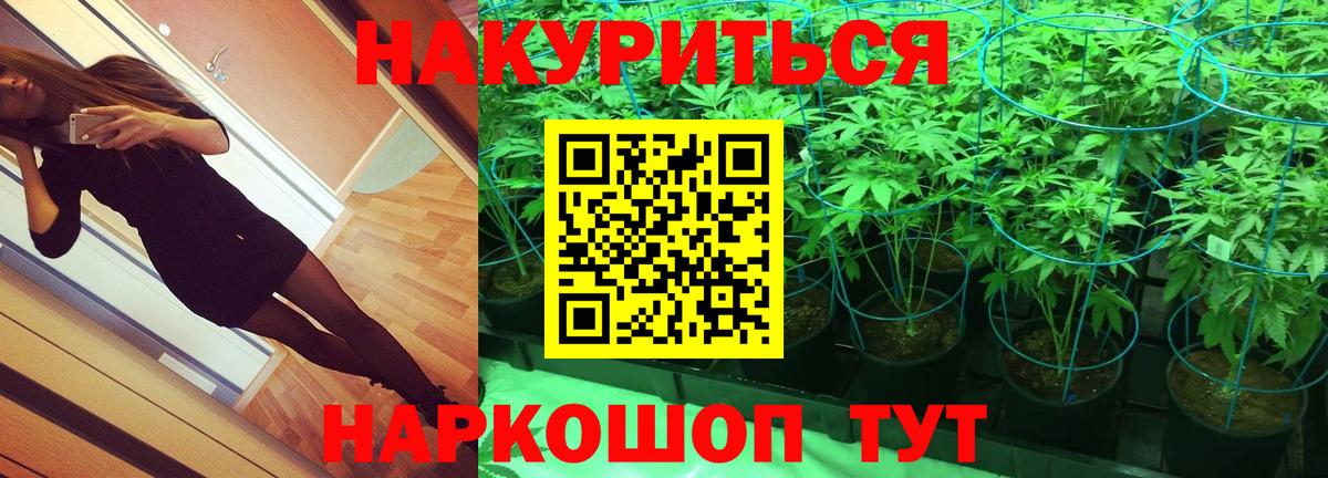 Канабис планчик Котлас